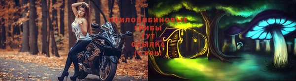 мдпв Нефтекумск