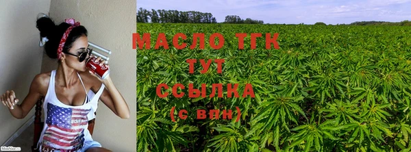амф Надым