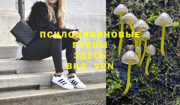 амф Надым