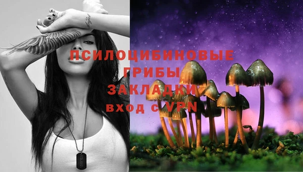 сатива Нефтегорск