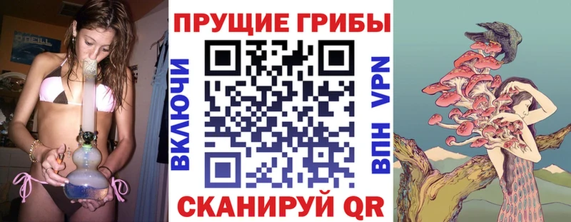 Галлюциногенные грибы GOLDEN TEACHER  Касли 