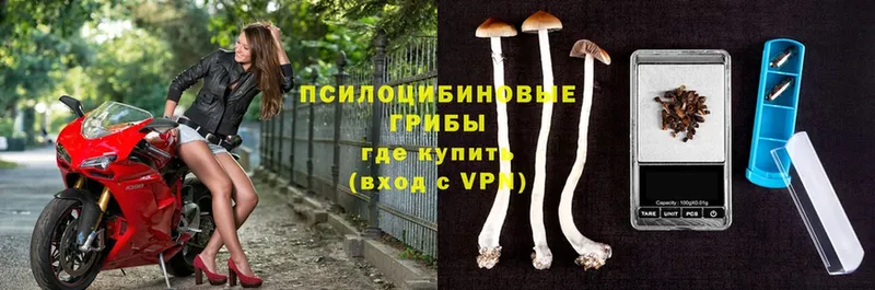 Псилоцибиновые грибы прущие грибы  Касли 