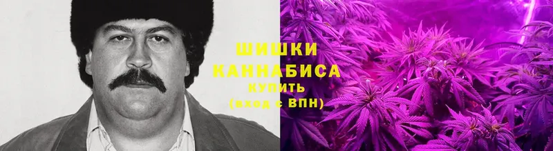 Конопля Bruce Banner  Касли 